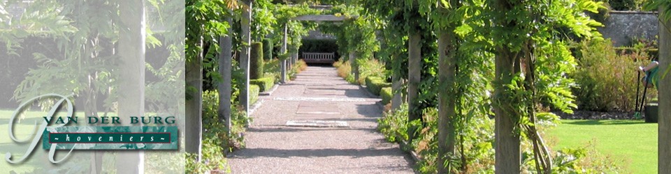 Van der Burg Hoveniers